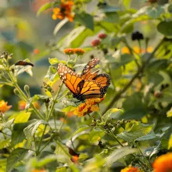 En este espacio hay condiciones específicas de humedad y calor.